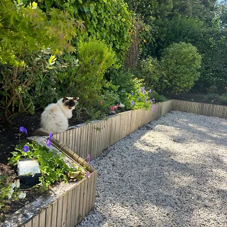 D'hotes Etchebri Bed & Breakfast 4*