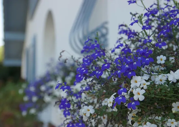 Villa Etchebri- Maison D'Hotes De Charme 4* Anglet