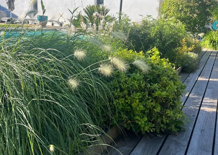 D'hotes Etchebri 4* Anglet