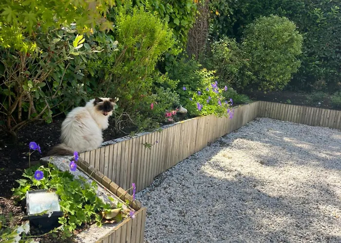 D'hotes Etchebri Bed & Breakfast 4*