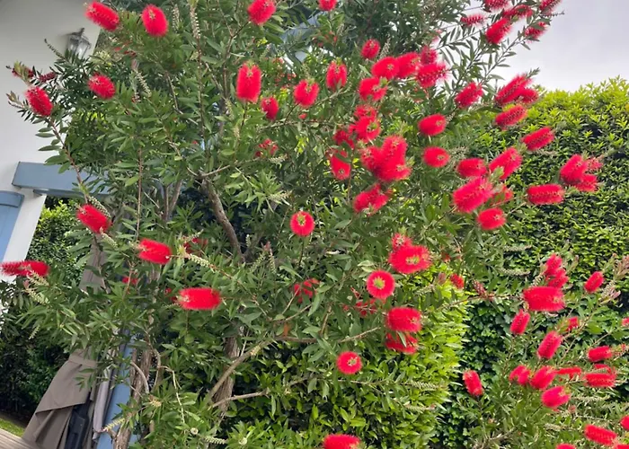 D'hotes Etchebri Bed & Breakfast Anglet