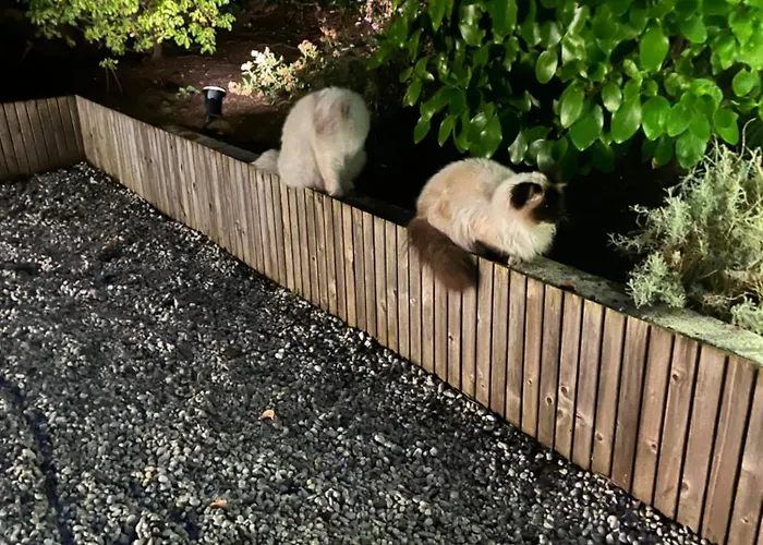 D'hotes Etchebri Bed & Breakfast