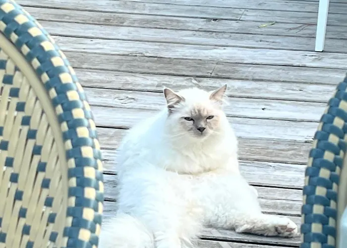 Bed & Breakfast D'hotes Etchebri 4*